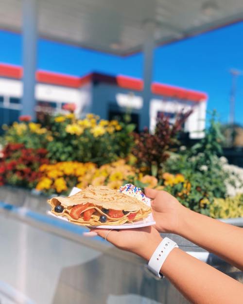 A hand holding a colorful taco filled with fresh ingredients, with a vibrant flower garden in the background.