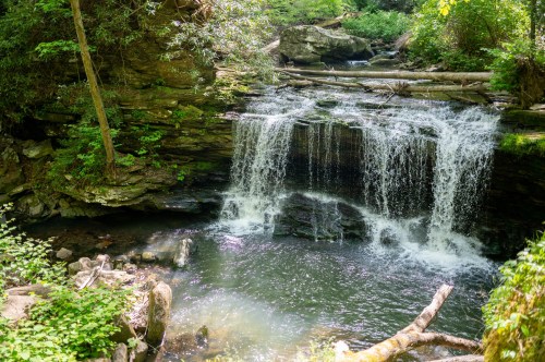 A serene waterfall cascades over rocks into a tranquil pool, surrounded by lush greenery and fallen logs.