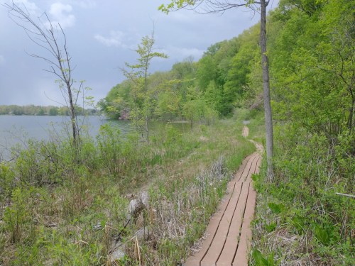 A wooden path winds through lush greenery beside a calm lake under a cloudy sky.