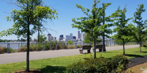 A park path lined with trees, benches, and a view of a city skyline across the river on a clear day.