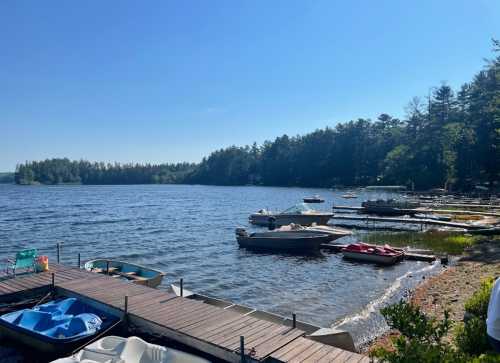 A serene lake scene with boats docked along the shore, surrounded by trees under a clear blue sky.