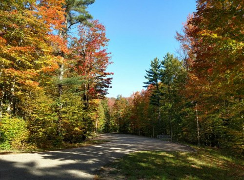A scenic view of a winding road surrounded by vibrant autumn trees in shades of red, orange, and green under a clear blue sky.