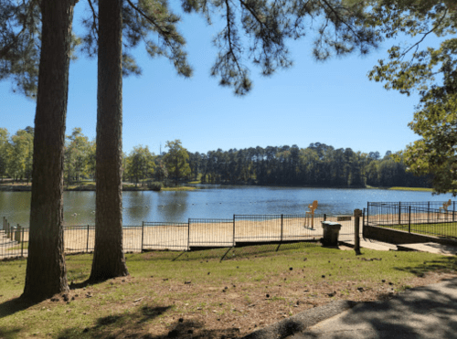 A serene lake view surrounded by trees, with a sandy beach area and a fence in the foreground under a clear blue sky.