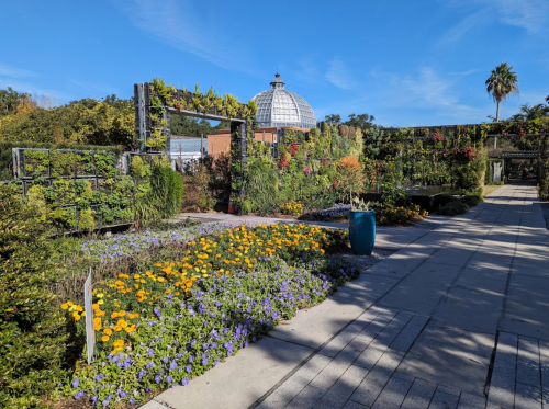 A vibrant garden with colorful flowers, a blue pot, and a glass dome structure under a clear blue sky.
