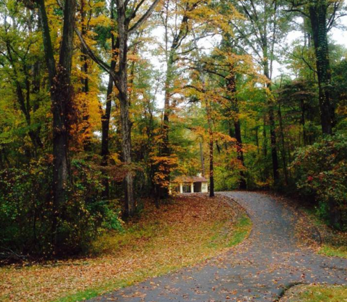 A winding path through a forest with autumn leaves, leading to a small building in the distance.