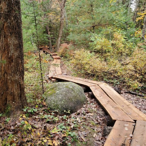 A winding wooden path through a forest, surrounded by trees and autumn foliage.