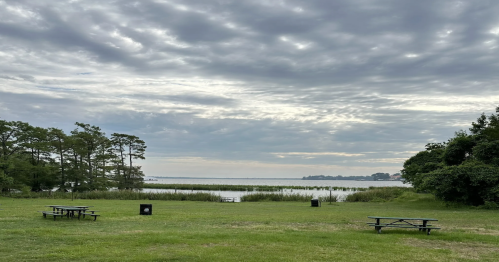 A serene park scene with picnic tables, grassy areas, and a calm water view under a cloudy sky.