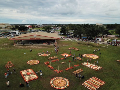 Aerial view of a pumpkin festival with colorful pumpkin displays and crowds gathered around a pavilion.