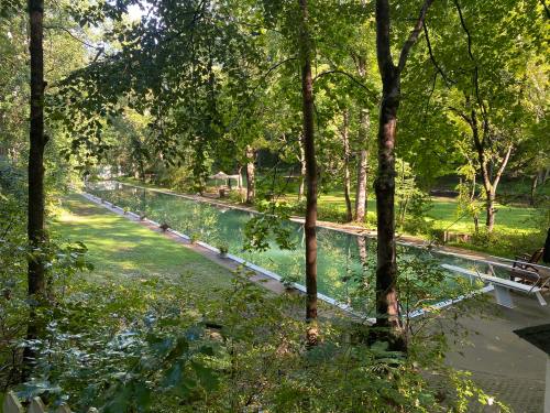 A serene outdoor scene featuring a long, narrow pool surrounded by lush greenery and trees.