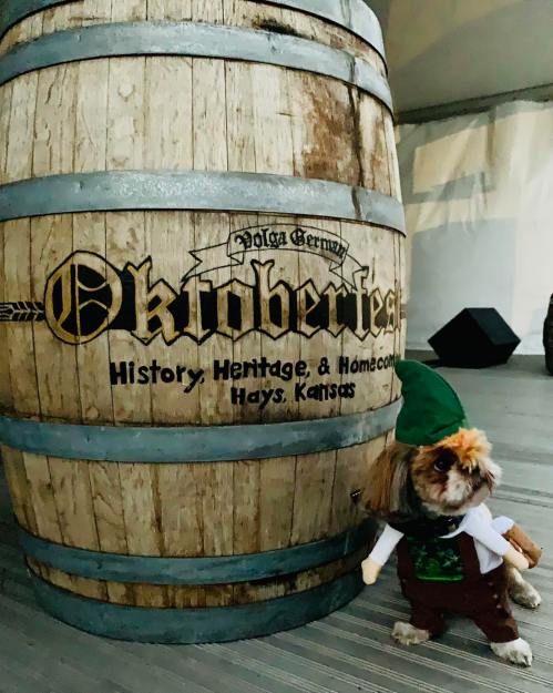 A small dog in a green outfit stands next to a large wooden Oktoberfest barrel in a festive setting.