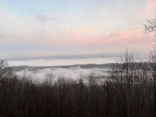A serene landscape with fog rolling over hills, under a pastel sky at dawn. Trees frame the view in the foreground.