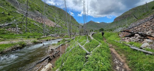 A hiker walks along a trail beside a stream, surrounded by green hills and fallen trees under a cloudy sky.