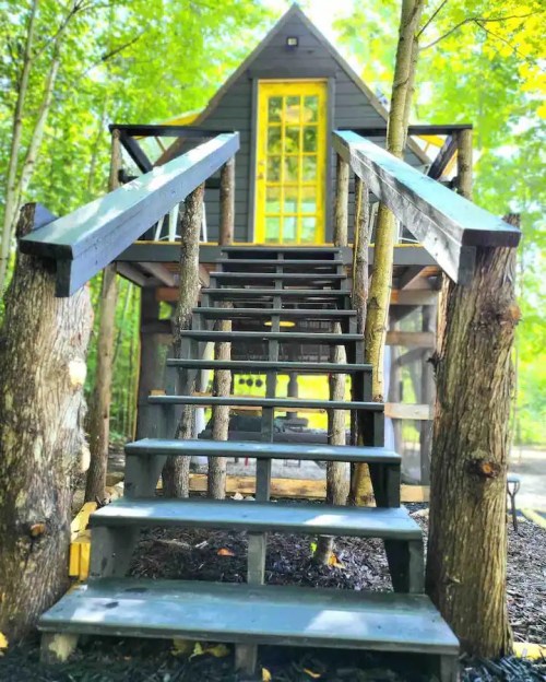 A charming treehouse with a yellow door, accessed by wooden stairs, surrounded by lush green trees.