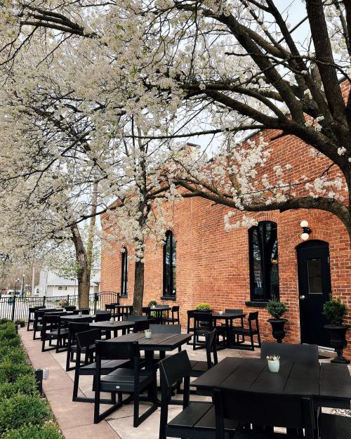 Outdoor dining area with black tables under blooming trees and a brick building in the background.