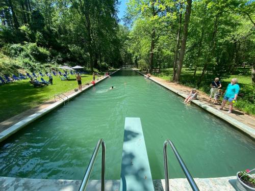 A serene swimming pool surrounded by trees, with people swimming and relaxing on the poolside.