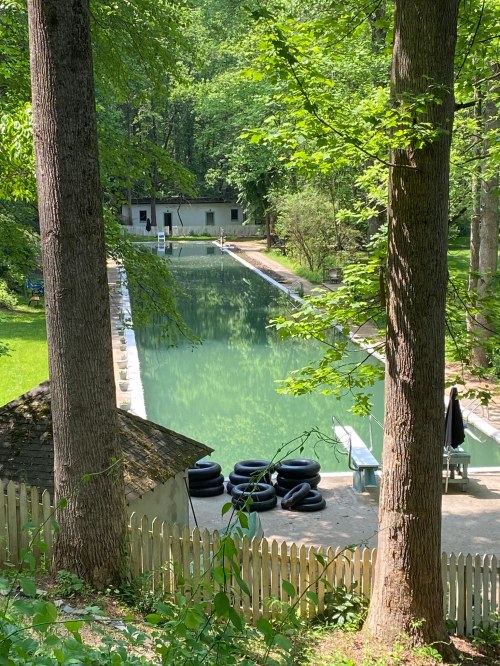 A serene outdoor swimming area surrounded by trees, featuring a clear pool and black inner tubes stacked nearby.