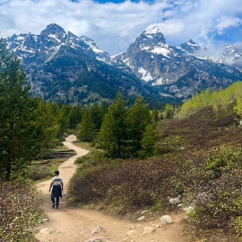 A person walks along a dirt path through a lush landscape, with snow-capped mountains in the background under a blue sky.
