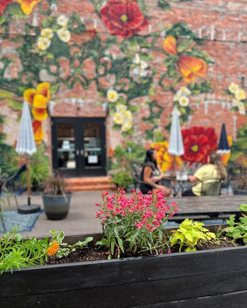 A vibrant mural of flowers on a brick wall, with potted plants in the foreground and people sitting at outdoor tables.