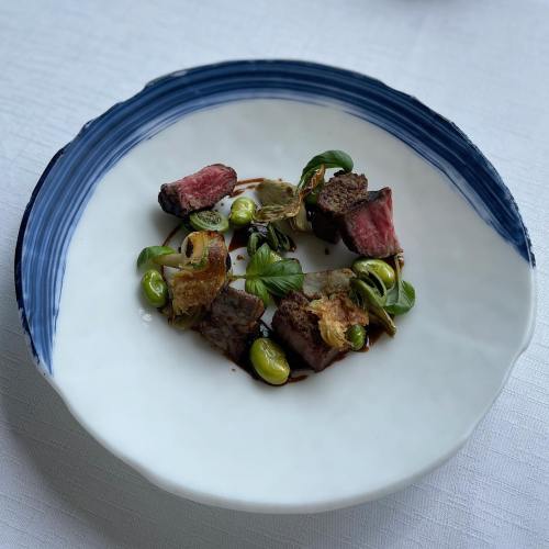 A white plate with blue rim featuring pieces of steak, greens, and garnishes arranged artistically.
