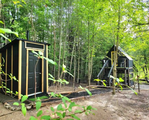A small black cabin and a larger treehouse surrounded by lush green trees in a serene outdoor setting.