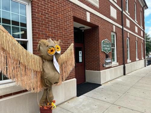 A straw owl with sunflower eyes stands outside a brick building labeled "District Library."