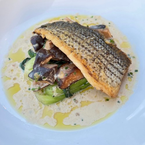 A beautifully plated dish featuring seared fish on a bed of greens and mushrooms, drizzled with a creamy sauce.