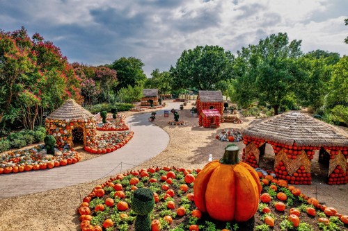A vibrant pumpkin display with colorful pumpkins, thatched huts, and lush greenery under a cloudy sky.