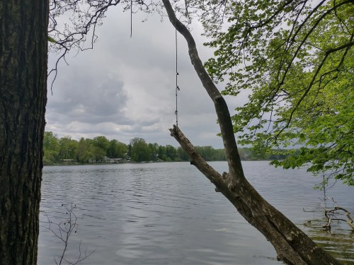 A serene lake scene with a tree branch hanging over the water, surrounded by green foliage and cloudy skies.