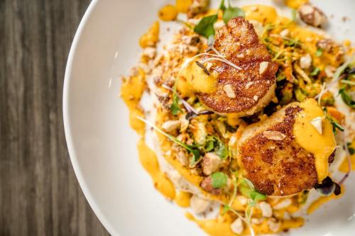 A close-up of seared scallops on a bed of creamy sauce, garnished with herbs and crunchy toppings.