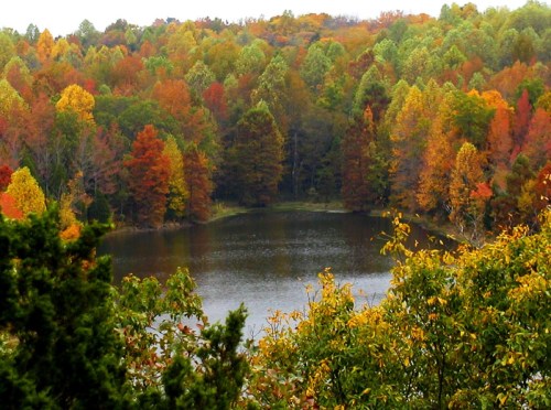 A serene lake surrounded by vibrant autumn foliage in shades of orange, red, and green.