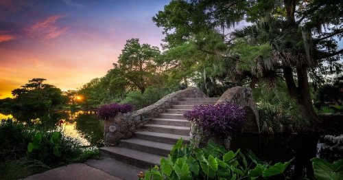 A stone bridge with steps crosses a serene pond, surrounded by lush greenery and vibrant flowers at sunset.
