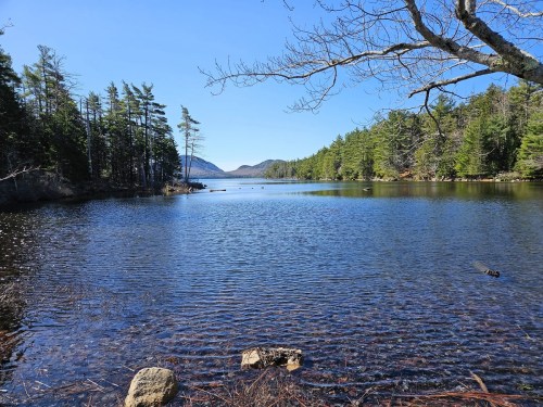 A serene lake surrounded by trees and mountains under a clear blue sky. Gentle ripples on the water's surface.
