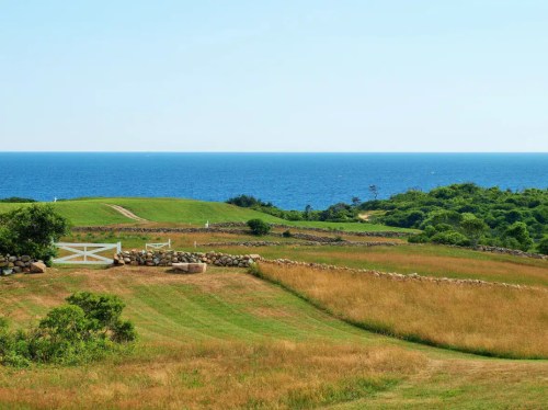 A scenic view of rolling green hills leading to a calm blue ocean under a clear sky.