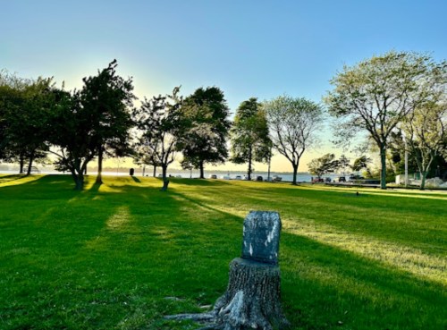A serene park scene with trees, a grassy area, and a view of the water under a clear blue sky at sunset.