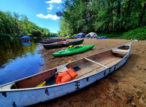 Canoes and kayaks lined up on a sandy riverbank, with tents and trees in the background under a blue sky.