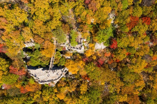 Aerial view of a forest in autumn, showcasing vibrant fall foliage and a stone structure amidst the colorful trees.