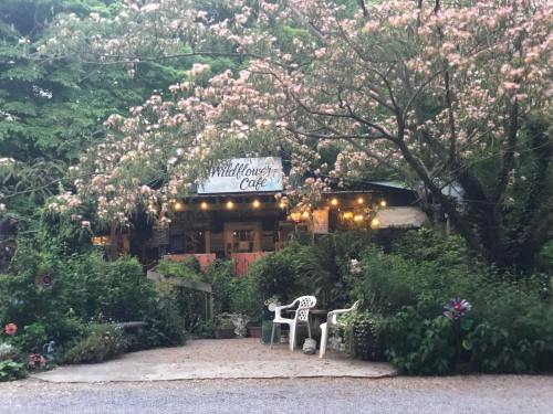 A cozy café surrounded by lush greenery and flowering trees, with outdoor seating and warm lights.