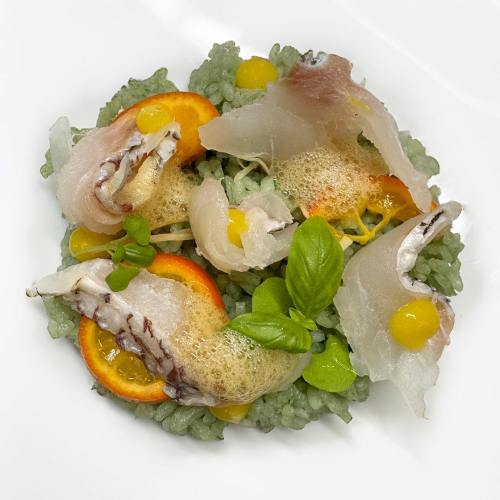 A gourmet dish featuring sliced fish, citrus slices, and green rice, garnished with herbs and a frothy sauce.