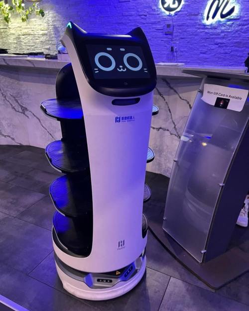 A cute robot with a cat face display and multiple shelves, set in a modern restaurant environment.