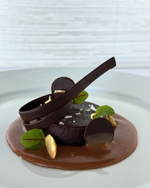 A gourmet chocolate dessert with a glossy sauce, garnished with chocolate curls, nuts, and fresh green leaves.