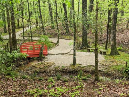 A winding path through a lush green forest, featuring a small red bridge over a stream.