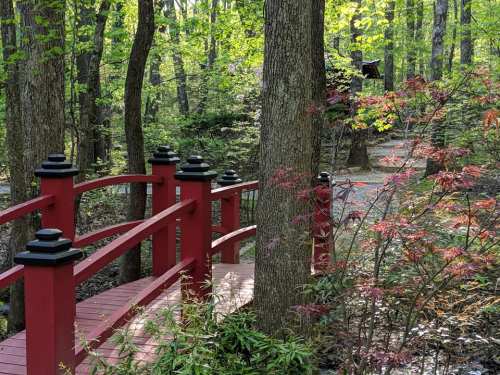 A red wooden bridge in a lush green forest, surrounded by trees and colorful foliage.