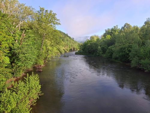 A serene river flows through lush green trees under a clear sky, creating a peaceful natural landscape.