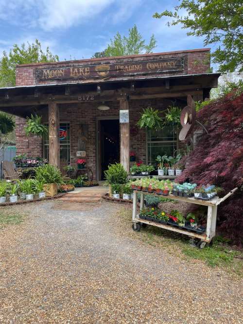 A rustic storefront with a sign reading "Moon Lake Trading Company," surrounded by plants and flowers on display.