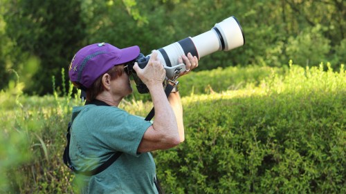 A woman in a purple cap holds a large camera lens, aiming it at a distant subject in a green outdoor setting.