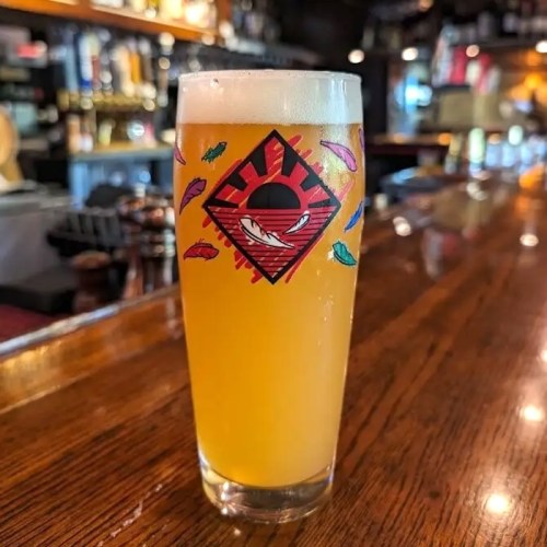 A pint of golden beer with a colorful logo sits on a polished wooden bar. Background features shelves of bottles.