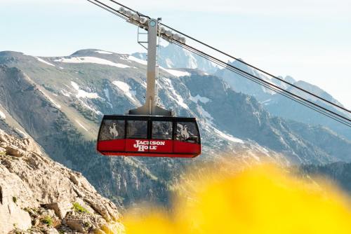A gondola labeled "Jackson Hole" travels above a mountainous landscape with snow-capped peaks in the background.