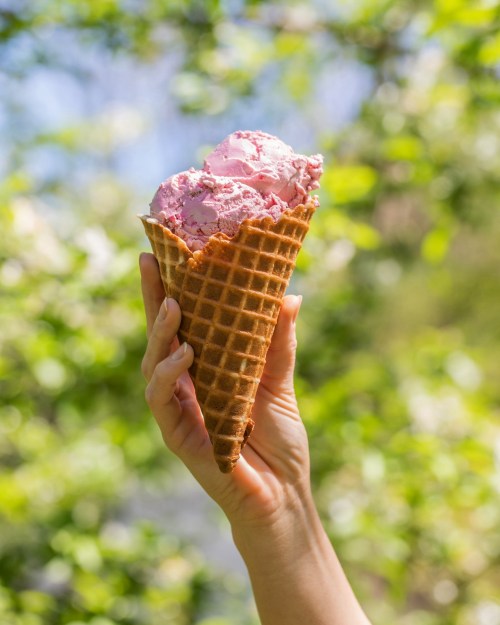 A hand holds a waffle cone filled with pink ice cream against a blurred green background.