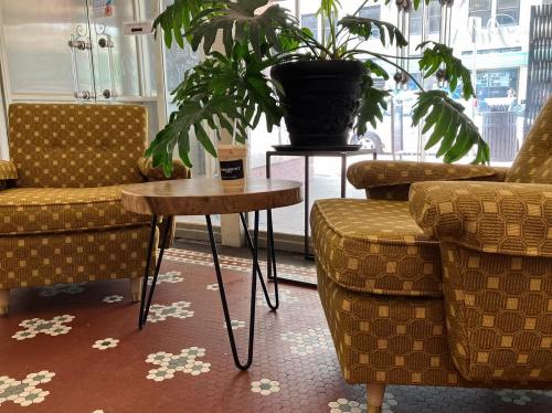 Two vintage armchairs with a wooden table between them, surrounded by a large potted plant in a cozy indoor setting.