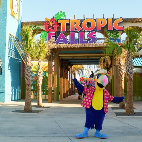 A colorful parrot mascot welcomes visitors at the entrance of Tropic Falls, surrounded by palm trees.